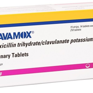 Clavamox 250mg Chewable Tablet